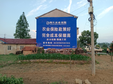 确山墙体广告为何受追捧？